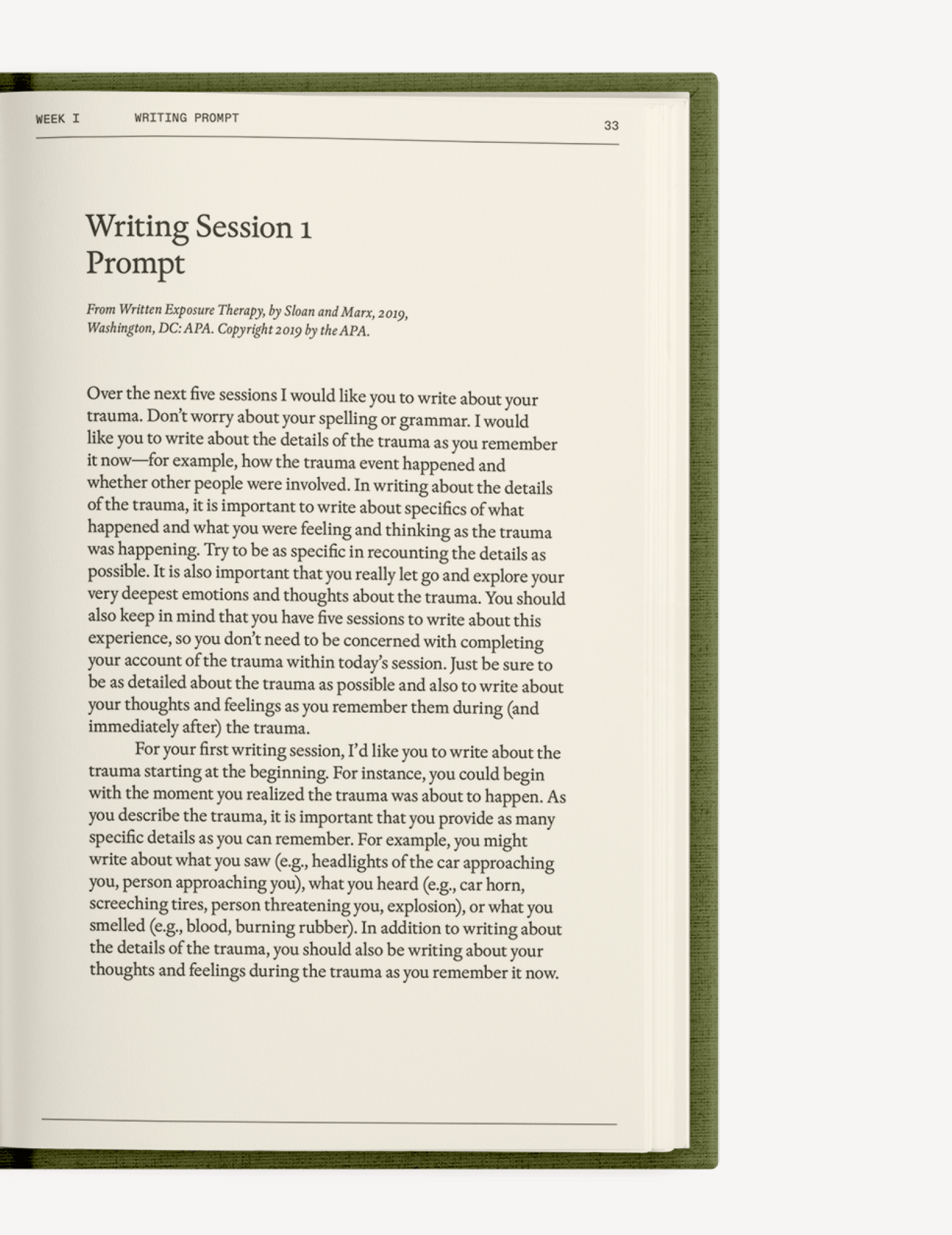 The After - Trauma Notebook - Insight Family Market