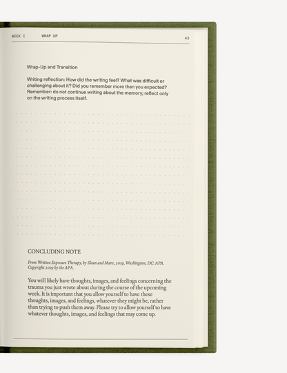 The After - Trauma Notebook - Insight Family Market