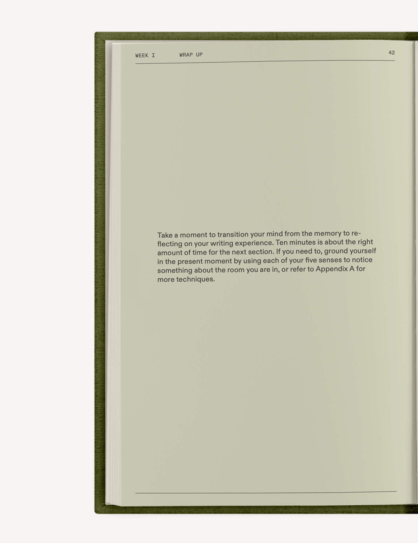 The After - Trauma Notebook - Insight Family Market