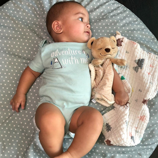 Meddy Teddy Lovie
