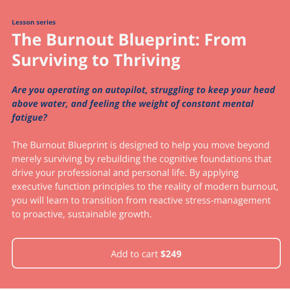 Website page with 'The Burnout Blueprint' book cover and text on a red background