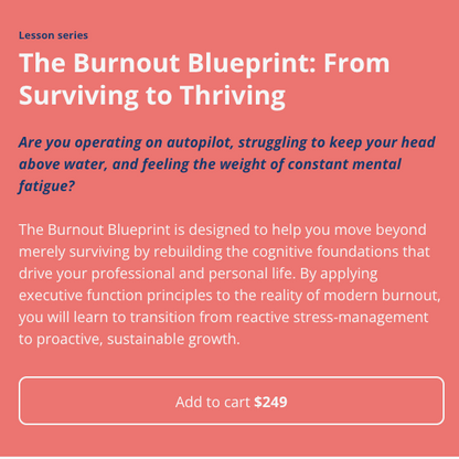 Website page with 'The Burnout Blueprint' book cover and text on a red background