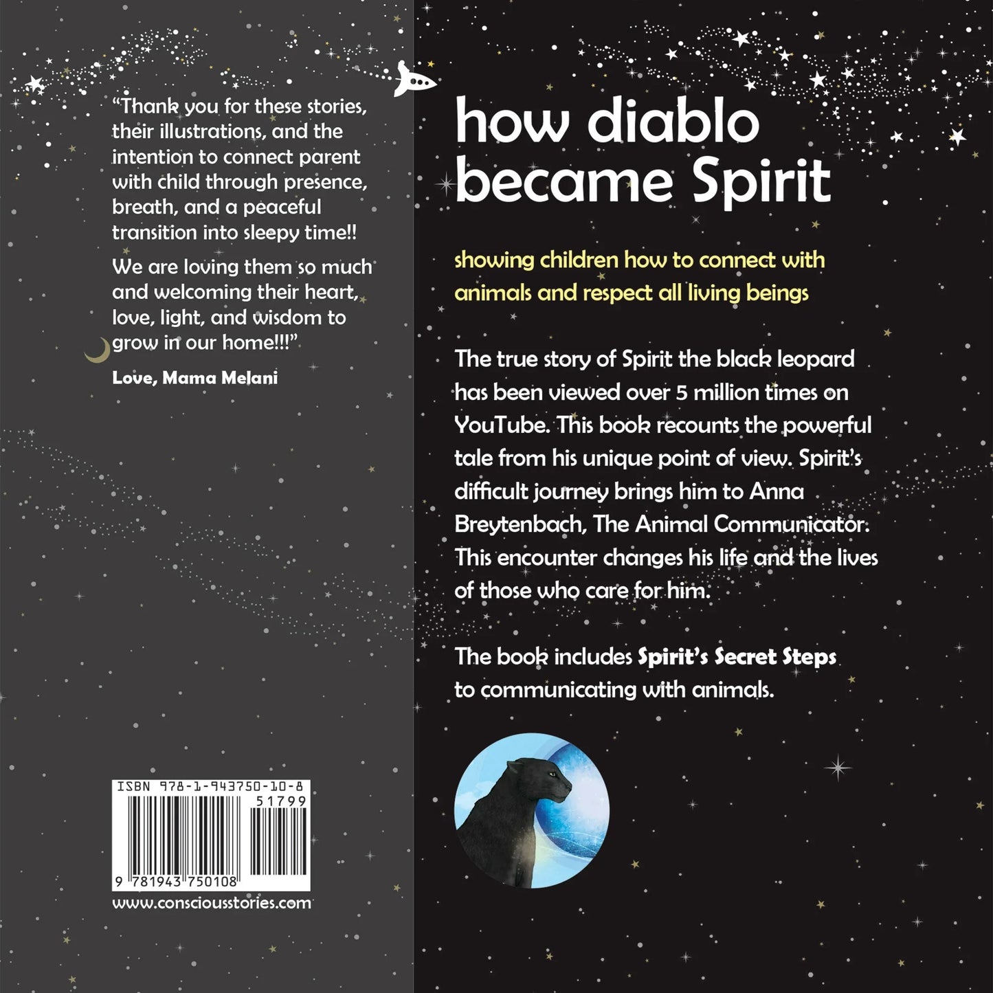 Back cover of 'How Diablo Became Spirit' children's book, with starry background and black leopard illustration.
