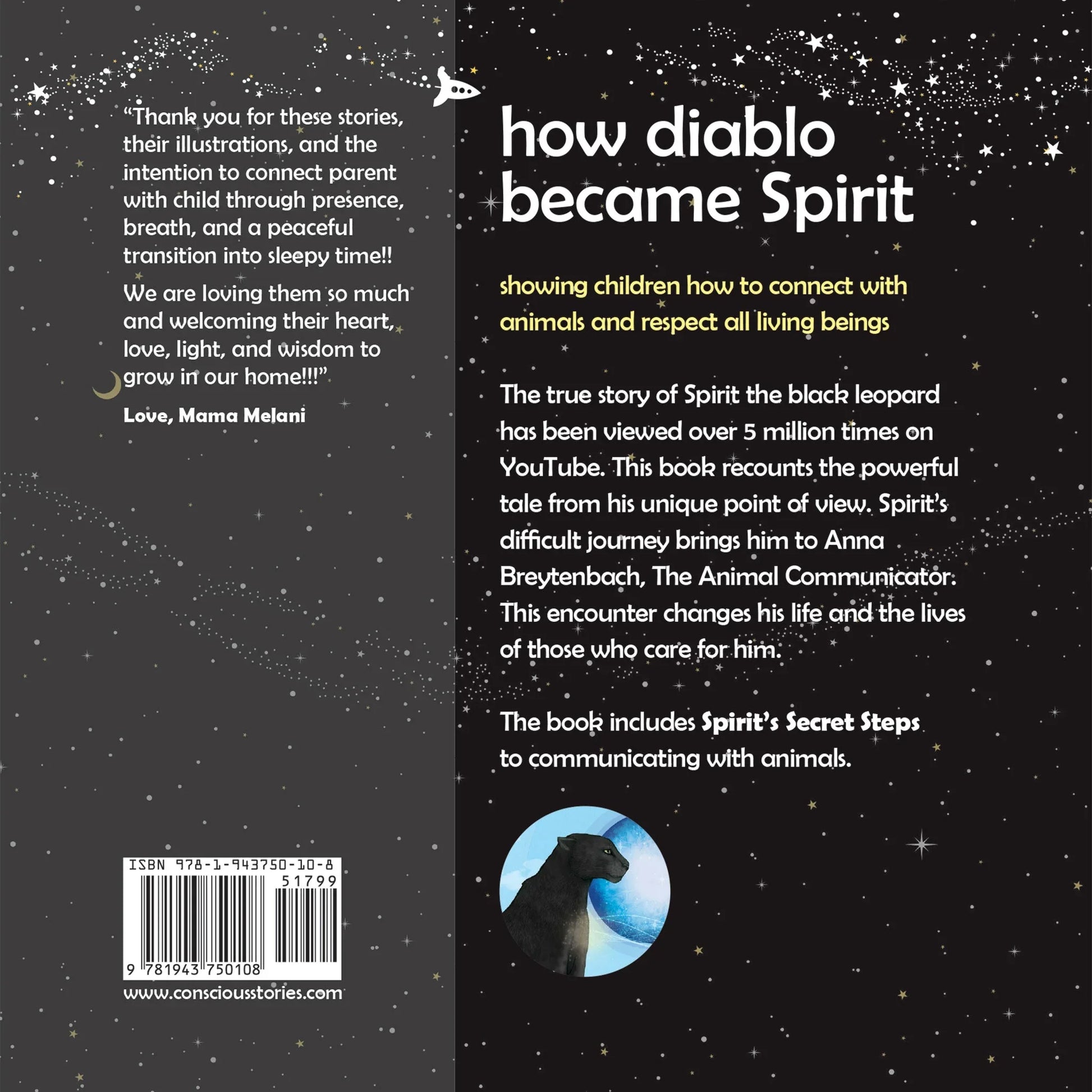 Back cover of 'How Diablo Became Spirit' children's book, with starry background and black leopard illustration.