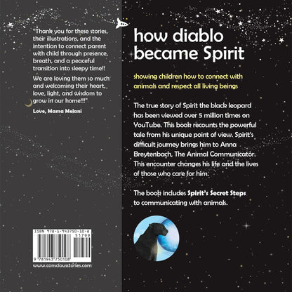 Back cover of 'How Diablo Became Spirit' children's book, with starry background and black leopard illustration.