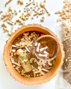 Bag of Bones Sensory Bin Filler - Insight Family Market