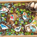 Best Sellers Sensory Play Bundle (3 sizes) - Insight Family Market