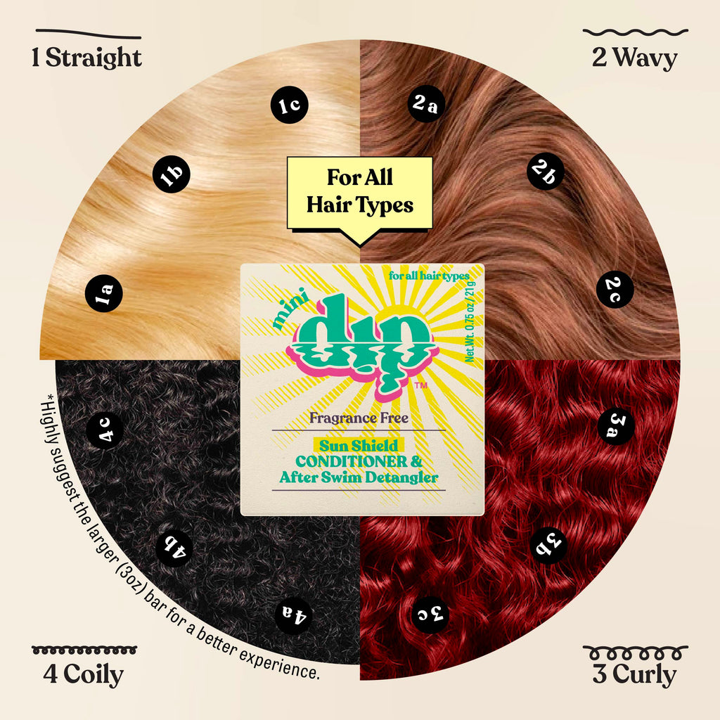 Hair type chart with different hair textures and a Mini Dip product in the center.