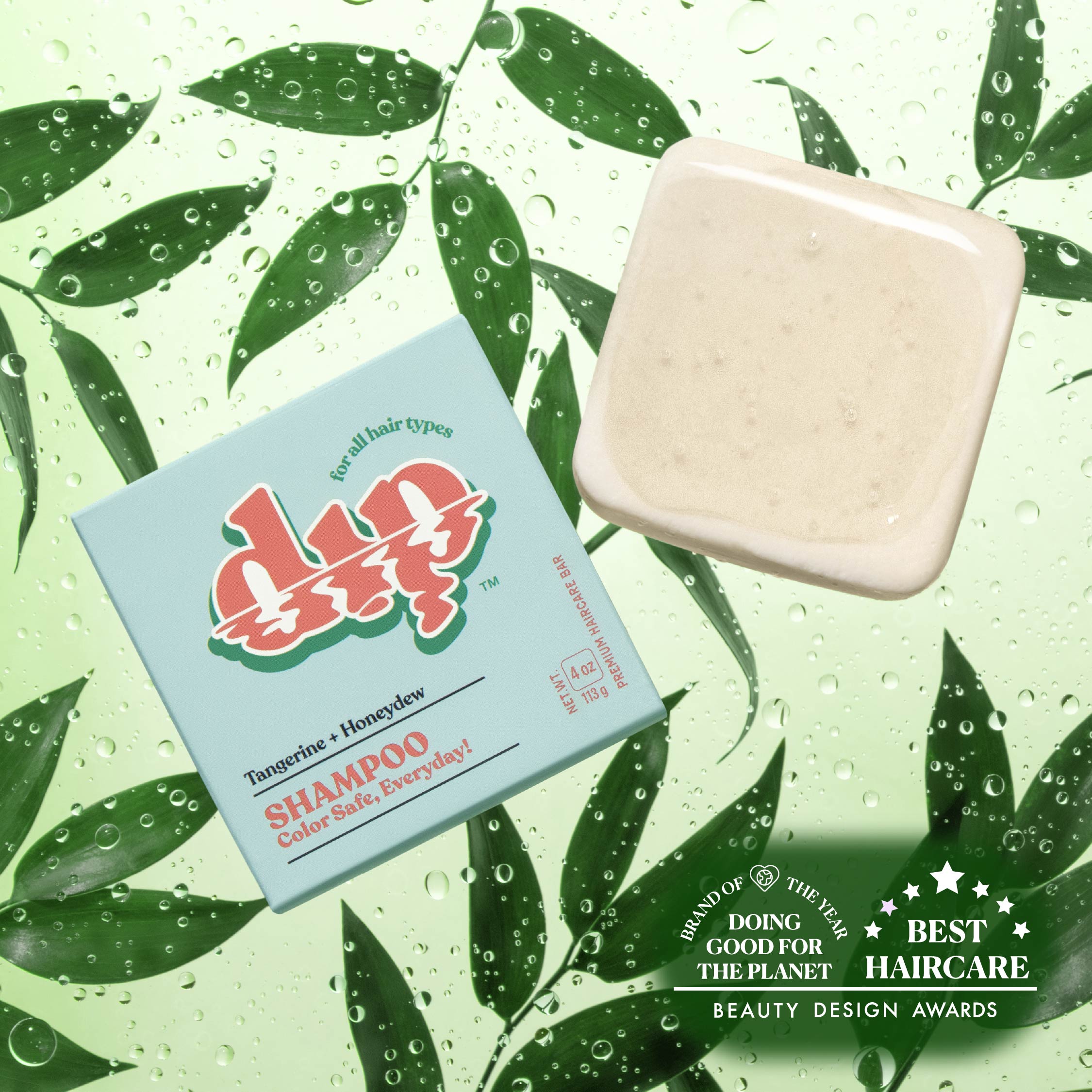 Shampoo bar and packaging with green leaf background