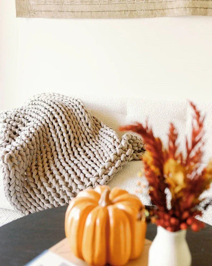 Chunky taupe knit blanket on couch with ceramic pumpkin and autumn flowers in cozy living room