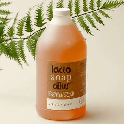 Lavender probiotic vegan Castile soap in 64 oz bottle with fern leaves in background