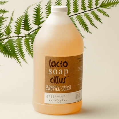64 oz probiotic vegan castile soap, peppermint eucalyptus scent, with plant backdrop