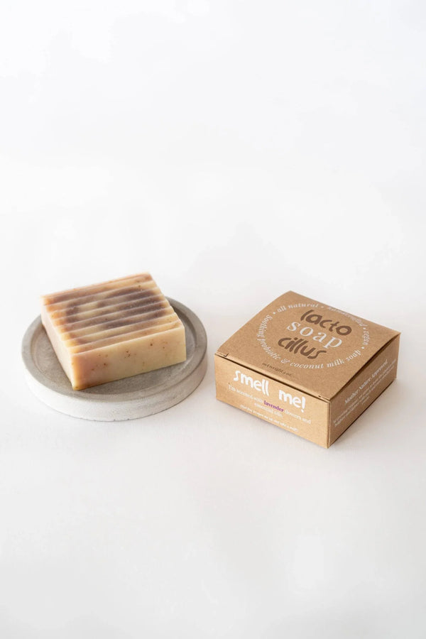 Lavender probiotic bar soap on a dish next to its eco-friendly brown box packaging