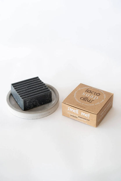 Peppermint eucalyptus probiotic bar soap on dish beside eco-friendly box, natural ingredients.